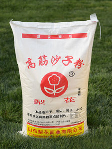 编织袋-25kg高筋沙子粉