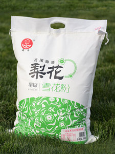 无纺布-10kg星级雪花粉