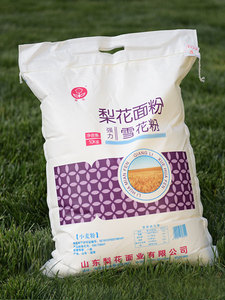 无纺布-10kg强力雪花粉