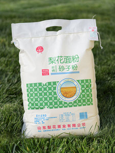 5kg超精砂子粉